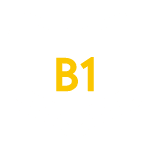 B1 level German language